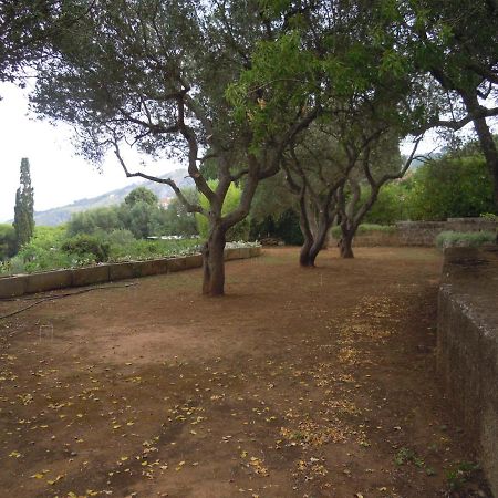 Appartamento In Villa Fortunata Terra Marina Serra Exterior photo