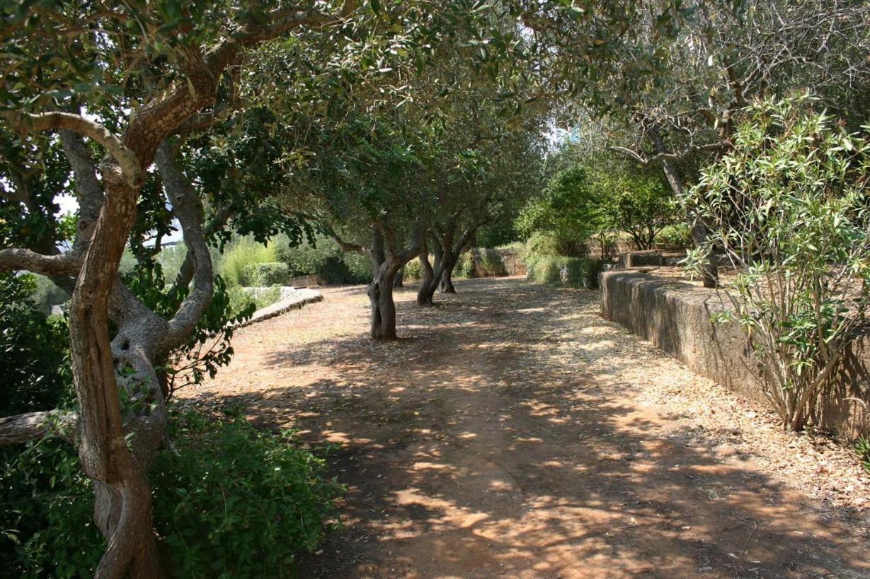 Appartamento In Villa Fortunata Terra Marina Serra Exterior photo