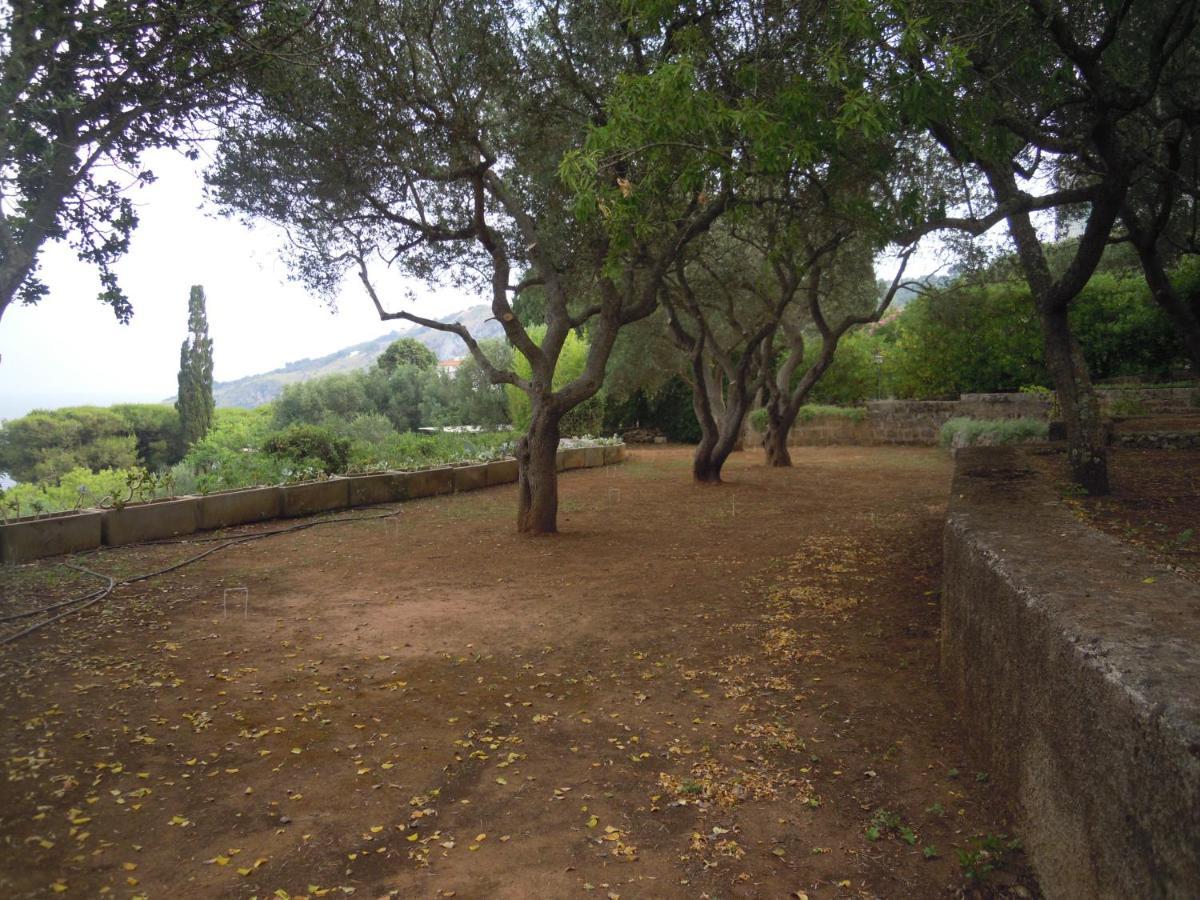 Appartamento In Villa Fortunata Terra Marina Serra Exterior photo